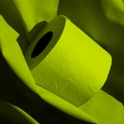 Renova Luxury Scented Colored Toilet Paper Gift Box 3 Rolls 3-Ply Bath Tissue - Gift Box 3 Rolls Lime Green