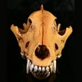 thumbnail image 3 of Sinyiin Anatomical Wolf Skull Replicas Resins Skeleton Teaching Aid Home Decoration, 3 of 11