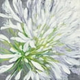 thumbnail image 3 of Purinton, Julia 12x12 Black Modern Framed Museum Art Print Titled - Cleome Splash II, 3 of 5