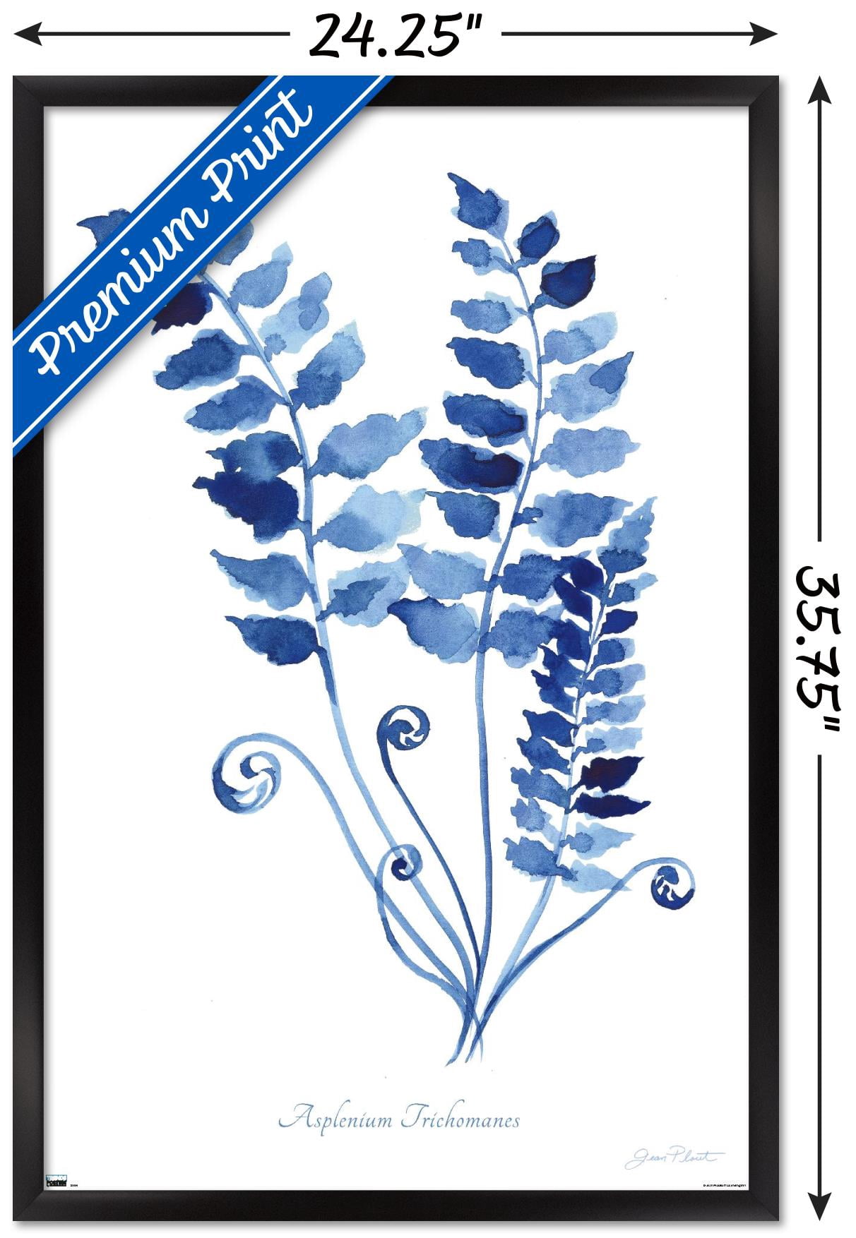 Jean Plout - Indigo Botanical Asplenium Trichomanes Wall Poster, 22.375" x 34" Framed