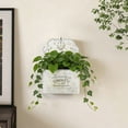 thumbnail image 3 of Galvanized Metal Wall Planter - Rustic Vintage Wall Mounted Planters for Indoor Outdoor Plants Farmhouse Hanging Plant Holder Decor (13.2" L x 9.5" H), 3 of 8