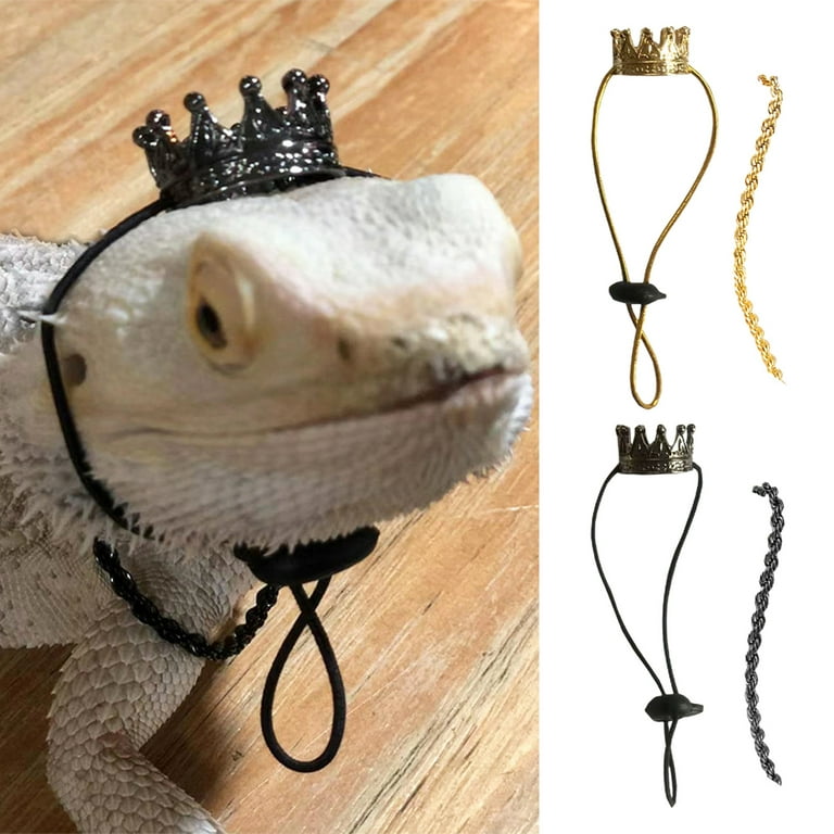 shenmeida Set Lizard Crown Necklace Set Bearded Dragon Crown and