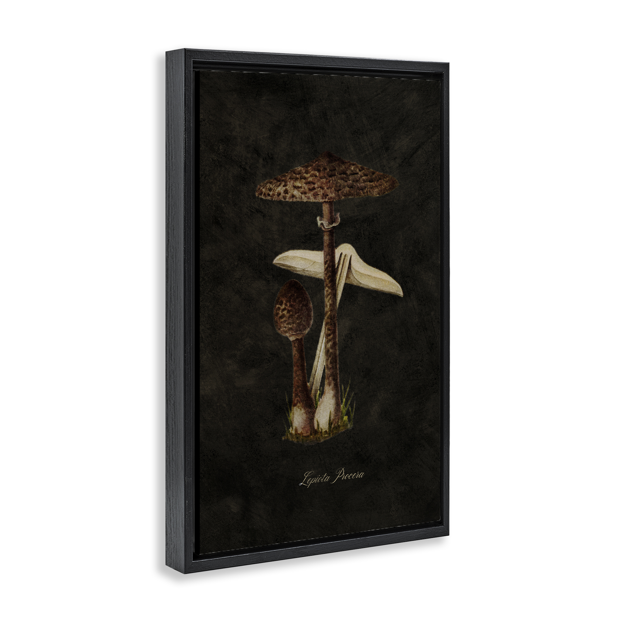 Stupell Industries Dark Woodland Mushroom Plants & Flowers Painting Black Floater Framed Canvas Art Print Wall Art, 21 x 31