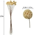 thumbnail image 2 of 20 Pcs White Dried Flowers,Natural Billy Balls Flowers,Dried Craspedia Flowers,White Floral Buttons Bouquet,Boho Vase Filler,Wedding Decoration Table Centerpieces (17inch), 2 of 6