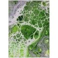 thumbnail image 2 of HomeRoots 581484 10 x 14 ft. Nautical Washable Indoor & Outdoor Rectangle Area Rug, Lime Green & Gray, 2 of 5