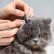 thumbnail image 3 of Toallitas de limpieza suaves para mascotas, quitamanchas para gatos, toallitas Oreja 150 piezas Yuyangstore Toallitas de limpieza para mascotas, 3 of 8