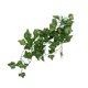 thumbnail image 3 of Planta de simulación de reptiles, paisajismo decorativo, enredadera falsa para caja de selva tropical de reptilesNFF‑87 Yamaha pequeña, 3 of 5
