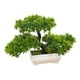 thumbnail image 4 of Árbol Bonsái Artificial Pequeñas Plantas Artificiales Decoración de Entretenimiento Plantas Artificiales de Pino Japonés en tas para Chimenea Baño, 4 of 8