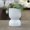 White, variant on Feya Sculpted Stoneware Pot with Pedestal Base