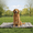 Gray, variant on Vagascape Cooling Pet Mat – All-Season Cooling Pad for Dogs & Cats, Washable Crate Bed, Large