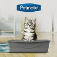 thumbnail image 2 of Petmate Basic Open Top Entry Cat Litter Pan Plastic Rimmed Box, Large, Gray, 2 of 8