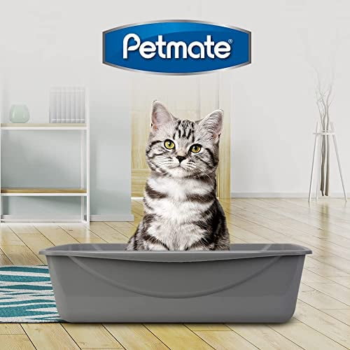 Petmate Basic Open Top Cat Litter Pan, Large Gray photo 2