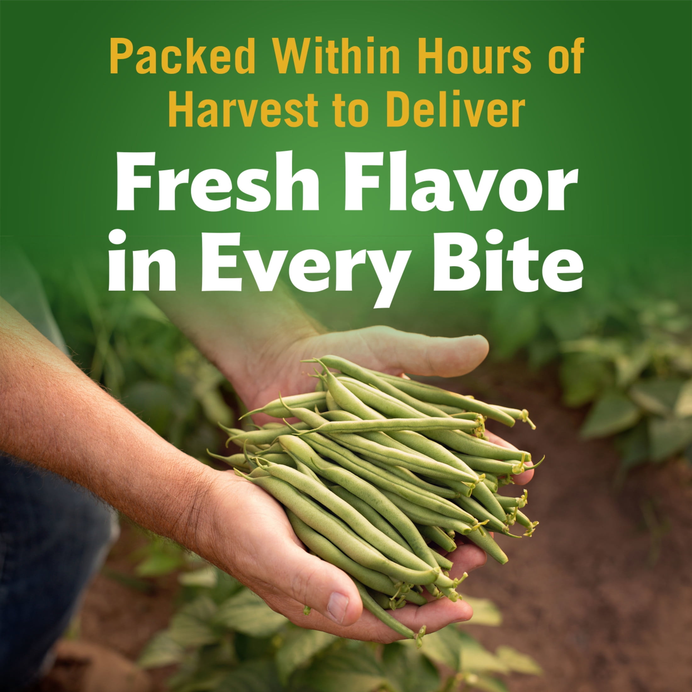 (12 pack) Del Monte Blue Lake Whole Green Beans, Canned Vegetables, 14.5 oz Can