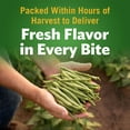 thumbnail image 5 of (12 pack) Del Monte Blue Lake Whole Green Beans, Canned Vegetables, 14.5 oz Can, 5 of 8