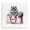 Glamorous Cat Crown Shopping Bag, variant on Stupell Industries Eclectic Lovely Cat in Shopping Bag Black Floating Frame Canvas Art, 18 x 18, by Amanda Greenwood
