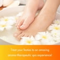 thumbnail image 3 of SPA REDI - Clay Mask, Mandarin, 16 Oz - Pedicure and Body Deep Cleansing, Skin Pore Purifying, Detoxifying and Hydrating - Natural Bentonite Clay, Amino Acids Panthenol, Comfrey Extract, 3 of 7