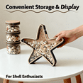 thumbnail image 6 of Sea Shell Display Box Wooden Starfish Holder with Acrylic Panel Storage Box,Wood Seashell Display Case,for Mini Shells Sea Rock Small Starfish Collection Boxs Home Decor Birthday Present, 6 of 9