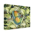 thumbnail image 2 of Kathleen Parr McKenna 'Royal Butterfly' Canvas Art, 2 of 4