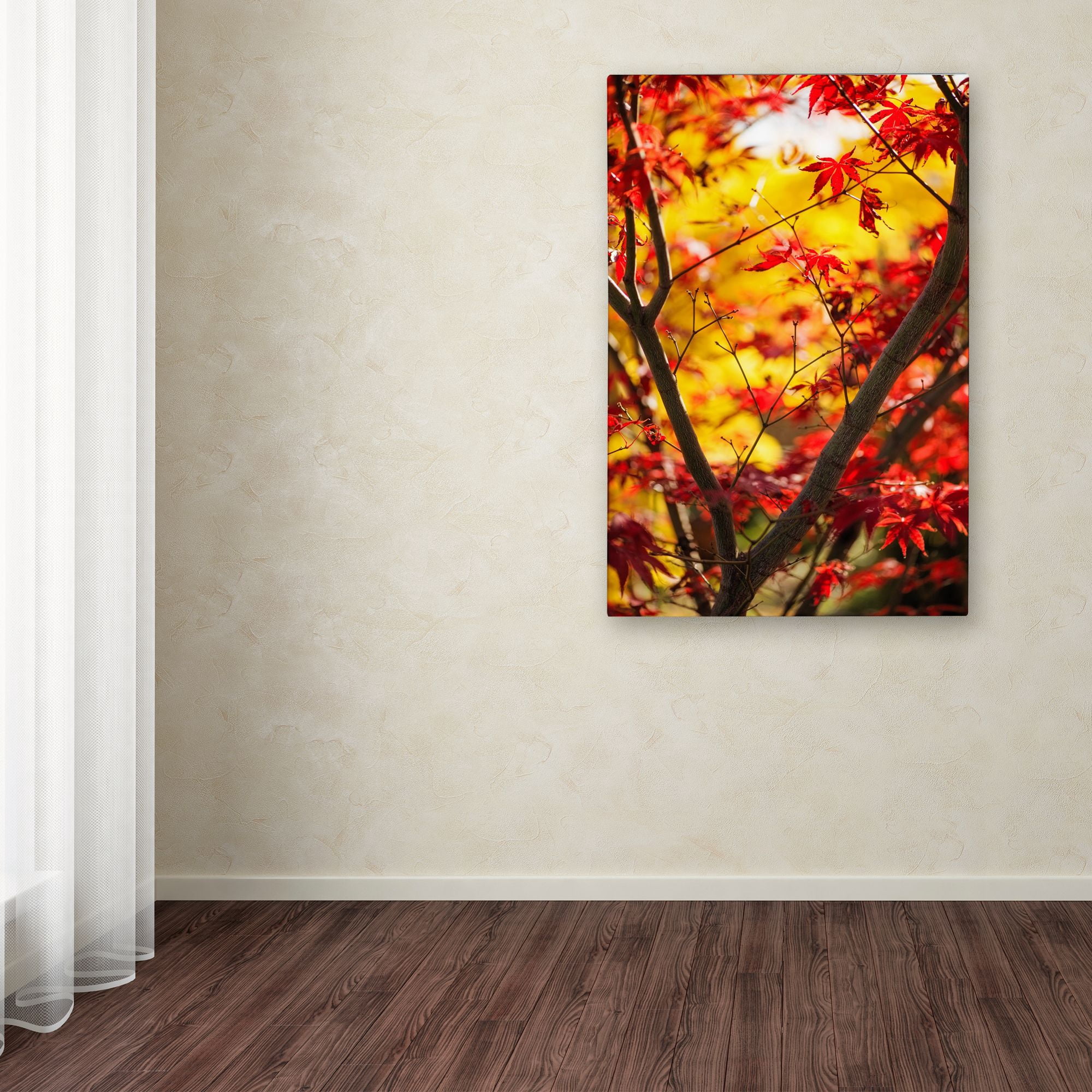 Trademark Fine Art "Morning Jive" Canvas Art by Philippe Sainte-Laudy