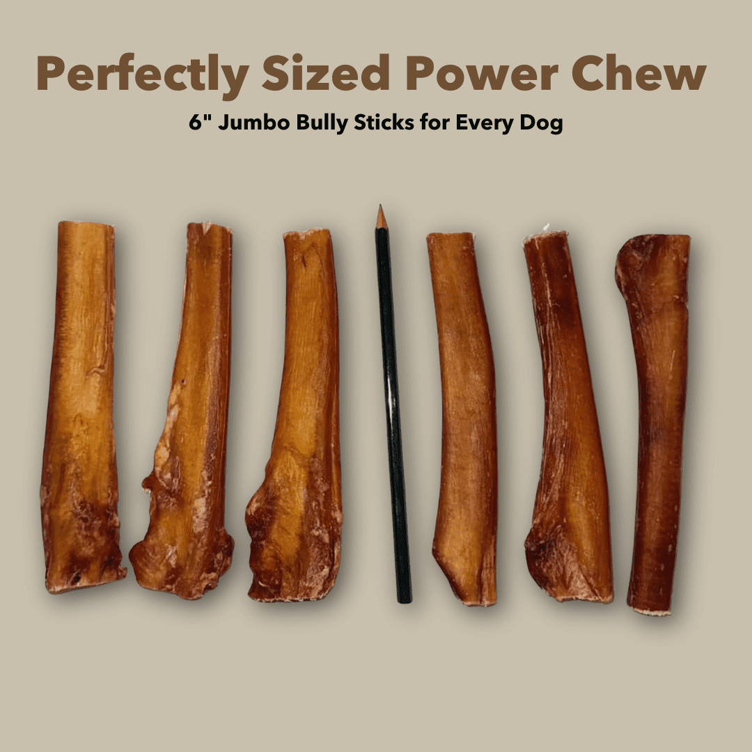 6" Jumbo Bully Sticks