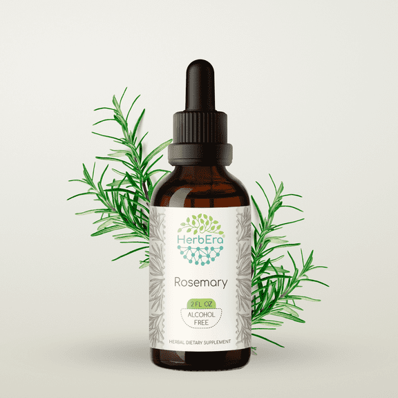 HerbEra Rosemary Tincture, Herbal Dietary Supplement for Cognitive Function Support, Rosemary (Rosmarinus officinalis) Dried Leaf Extract, Natural, Alcohol-Free, Drops 2 oz