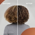 thumbnail image 3 of Color de Cabello Clairol Professional Hermosa Colección 44W, 3 of 3