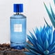 thumbnail image 4 of Perfume Fine Perfumery London Fragrances, agava azul y cacao, 100 ml, 4 of 8