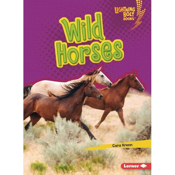 Lightning Bolt Books (R) -- Horse Lover& Wild Horses, (Paperback)