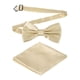 thumbnail image 1 of Corbata de moño para hombres, corbatas de moño ajustables con pañuelo de bolsillo, conjuntos de corbatas de moño preatadas para bodas (Oro Champagne Claro), 1 of 6