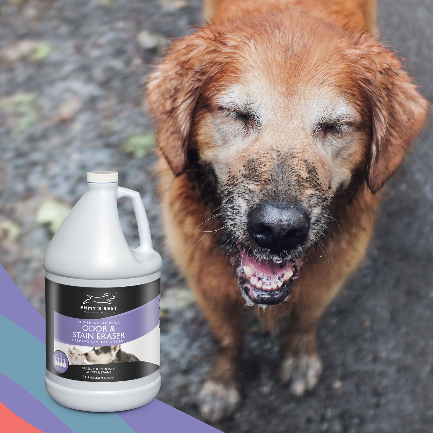 EBPP Lavender Pet Stain and Odor Remover Spray Enzyme Cleaner for Home, 128 fl Oz