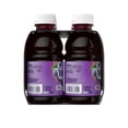 thumbnail image 5 of Welch's Grape Juice Drink, 10 fl oz On-the-Go Bottle (Pack of 6), 5 of 7