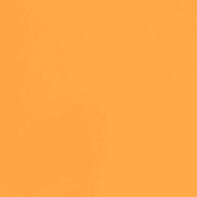 Orange Carrot
