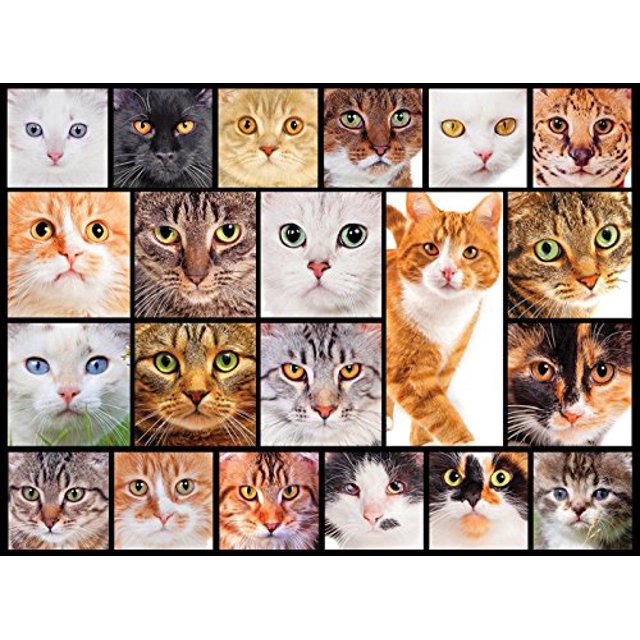 Lafayette Puzzle Collage de Chats d'Usine, un Casse-Tête de 1000 Pcs