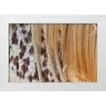 thumbnail image 3 of Lee Peterson 18x13 White Modern Wood Framed Wall Art Titled - Horse Up Close II, 3 of 5