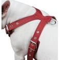 thumbnail image 2 of Red Genuine Leather Dog Harness, Medium. 25"-30" Chest, 1" Wide Adjustable Straps, Amstaff, 2 of 2
