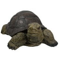 thumbnail image 3 of Northlight Turtle Outdoor Garden Statue - 22.75" - Brown and Green, 3 of 5