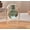 O, variant on Elegant Double-Layer Rattan Aromatherapy Diffuser - Stylish Essential Oil Diffuser for Home Decor