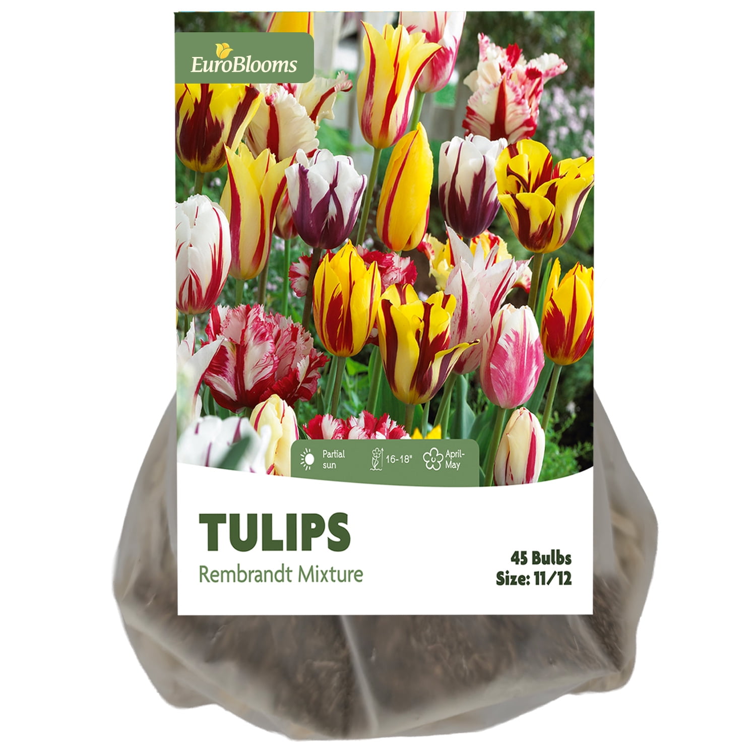 EuroBlooms Rembrandt Tulips Mixed Flower Bulbs (45ct)