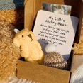 thumbnail image 7 of HYPERLIVING Worry Bear Hug in a Box,A Little Pocket Bear Hug,Mini Worry Bears with Inspirational Card,Handmade Mini Plush Teddy Bears in Box,Bears Doll,Positive Gifts for Kids,Friends, 7 of 7