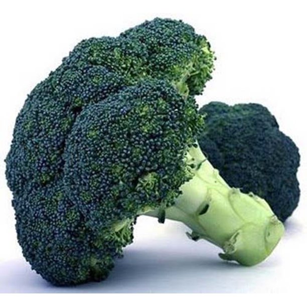Broccoli Waltham 29 Great Heirloom Vegetable 2,500 Seeds