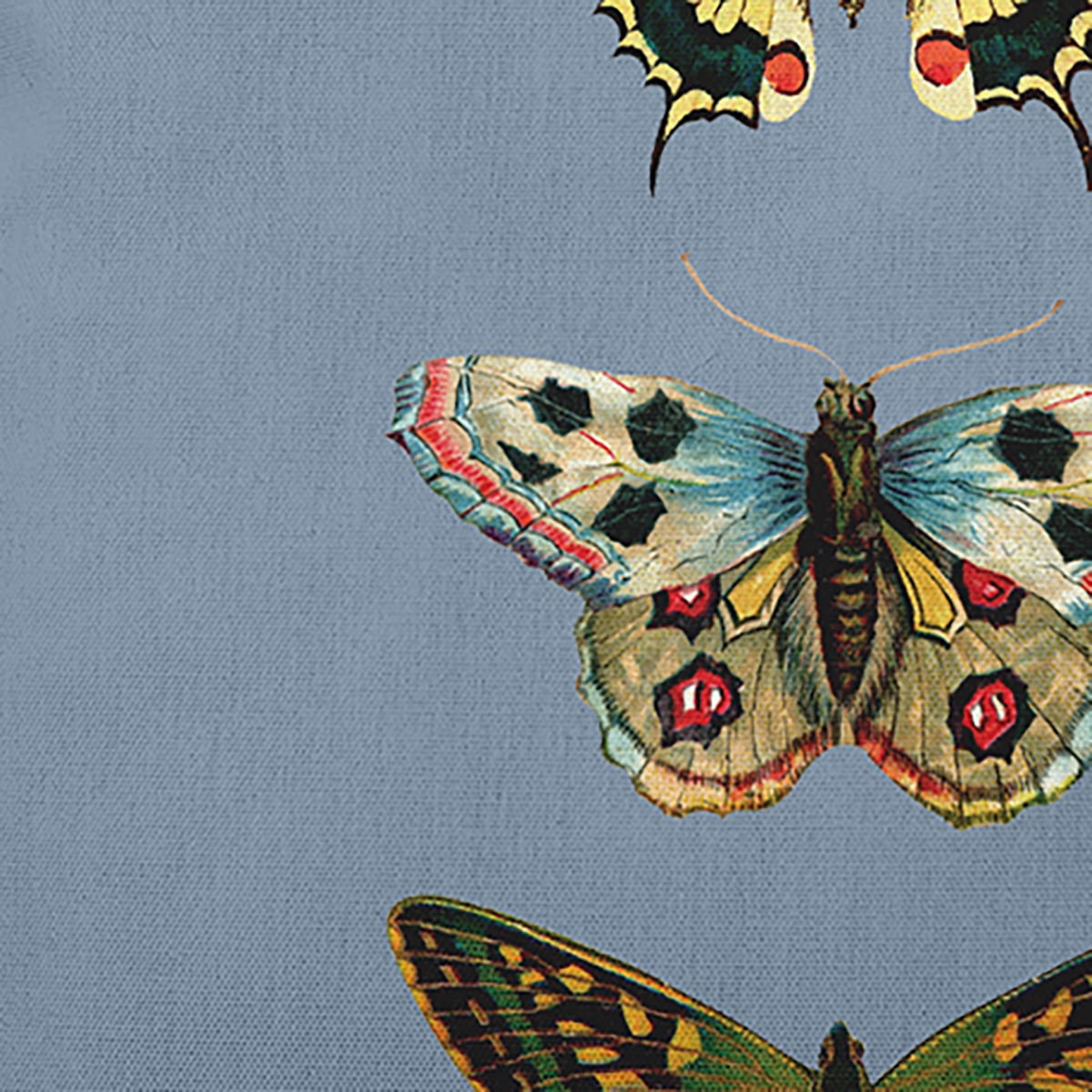 Simply Daisy 18-inch Square Butterflies Polyester Indoor Pillow, Dusty Smoke Blue Qty 1