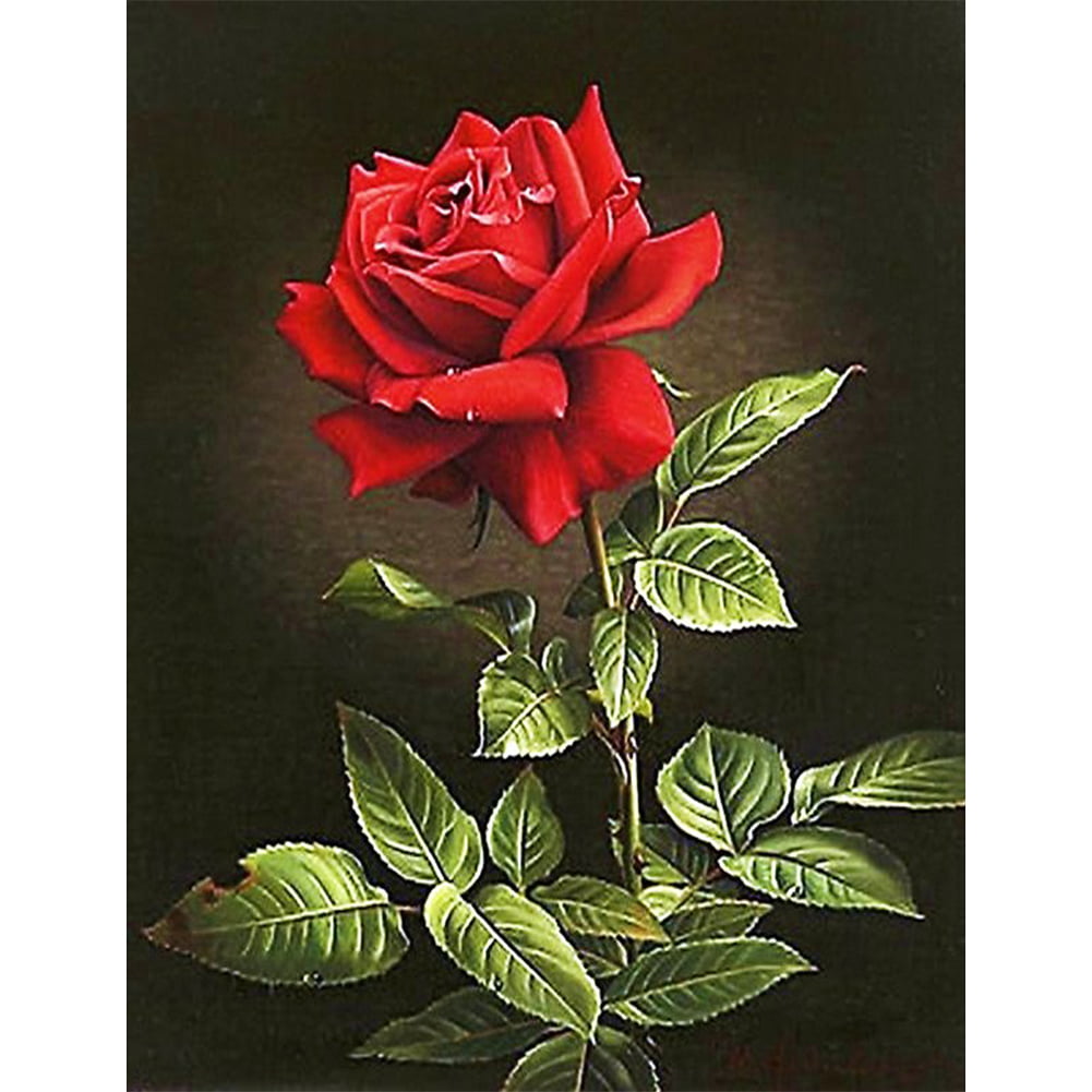 5D Diamond Painting Kits for Adults Diamond Embroidery 14x14, Rose 