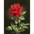 thumbnail image 1 of Cuadros Decorativos 5D DIY diamante pintura flor rosa bordado cruz puntada mosaico imagen Sywqhk Nuevos Originales, 1 of 9