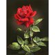 thumbnail image 1 of Pintura de diamante (DB2935) 5D DIY flor rosa bordado punto de cruz mosaico imagen 20X30cm FLhrweasw Nuevo, 1 of 1