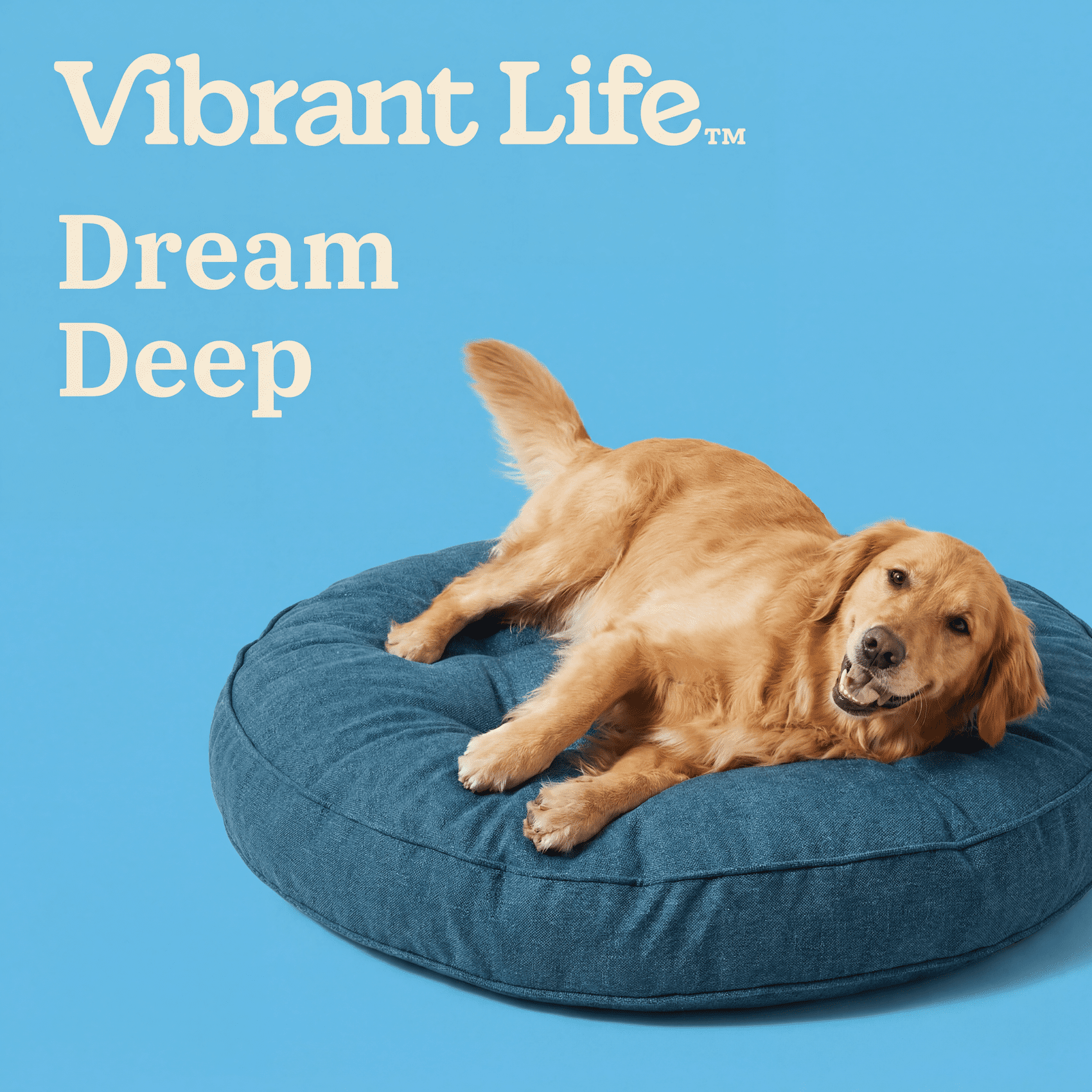 Vibrant Life Large Tufted Poof Round Pet Bed, Blue, 32