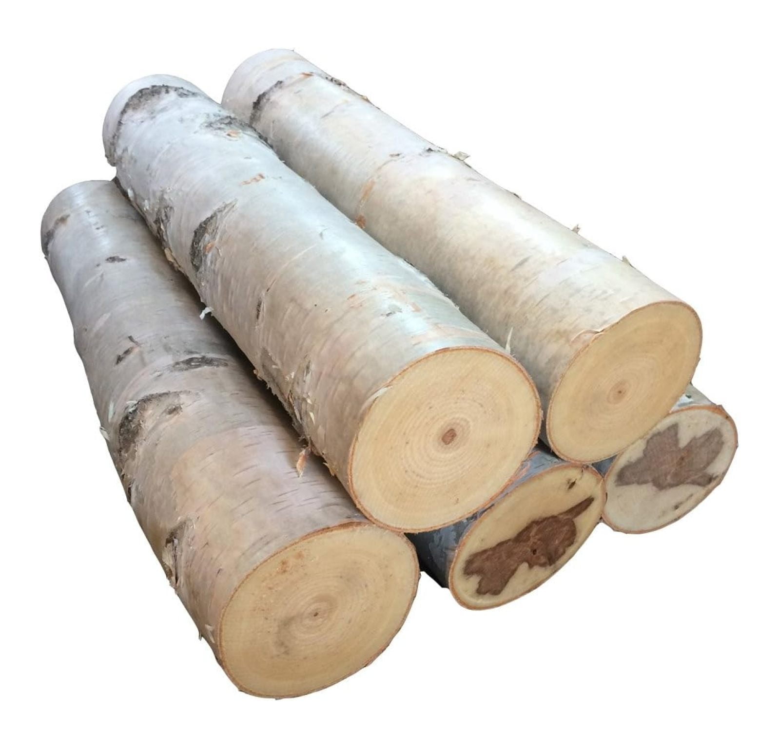 Light 'n Go Birch Bonfire Log: All-Natural Instant Outside