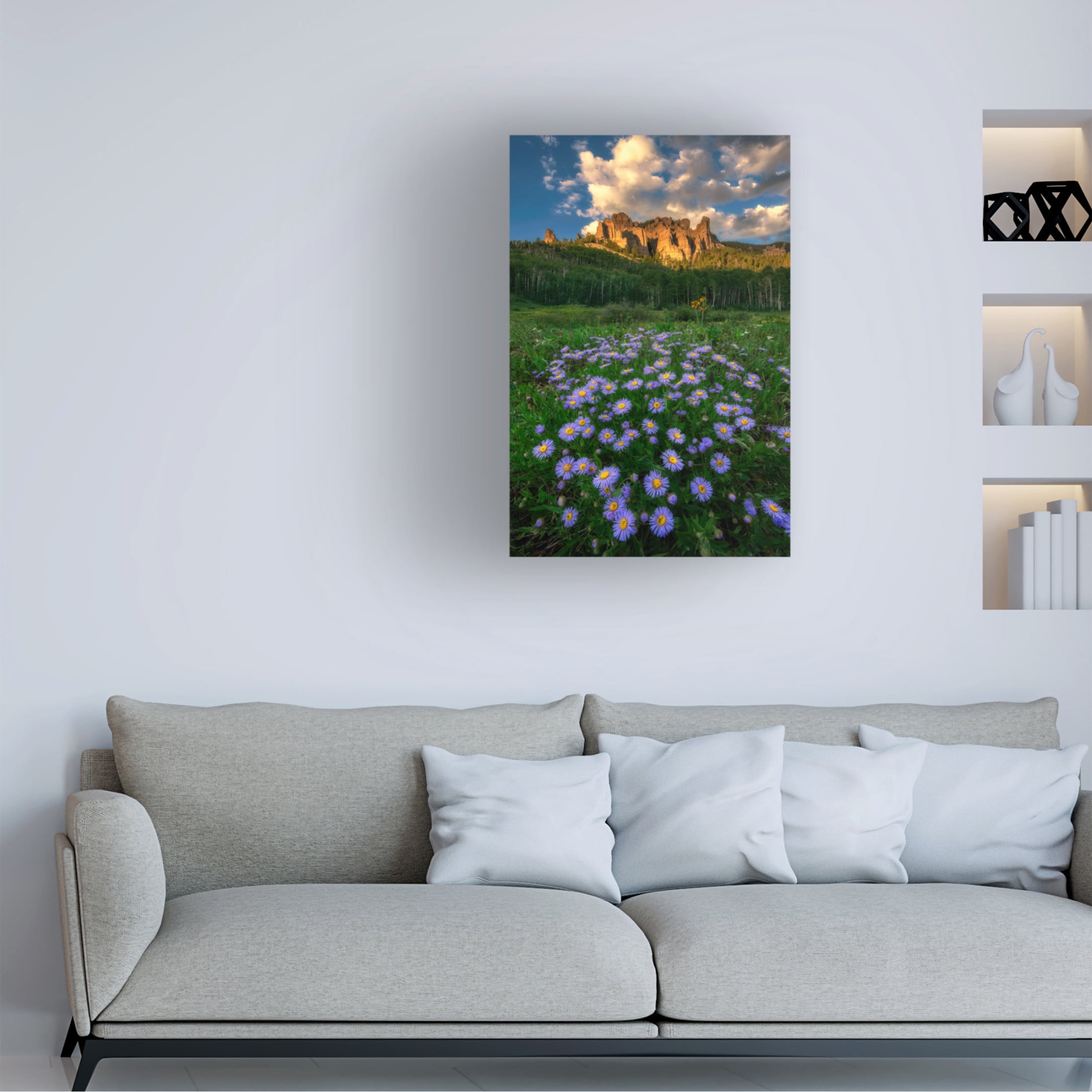 Canvas Wall Art - Mei Xu 'Canyon And Daisies' Wall Art for Living Room, Bedroom, or Office Décor by Trademark Fine Art - 30 x 47 Inches