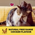 thumbnail image 4 of Temptations Natural Free Range Chicken Flavour Soft & Crunchy Adult Cat Treats, 4 of 10