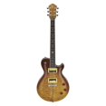 thumbnail image 1 of Guitarra Eléctrica MICHAEL KELLY Patriot Instinct Duncan MKPIMSCPSA W-CASE multicolor 39x12x105, 1 of 4