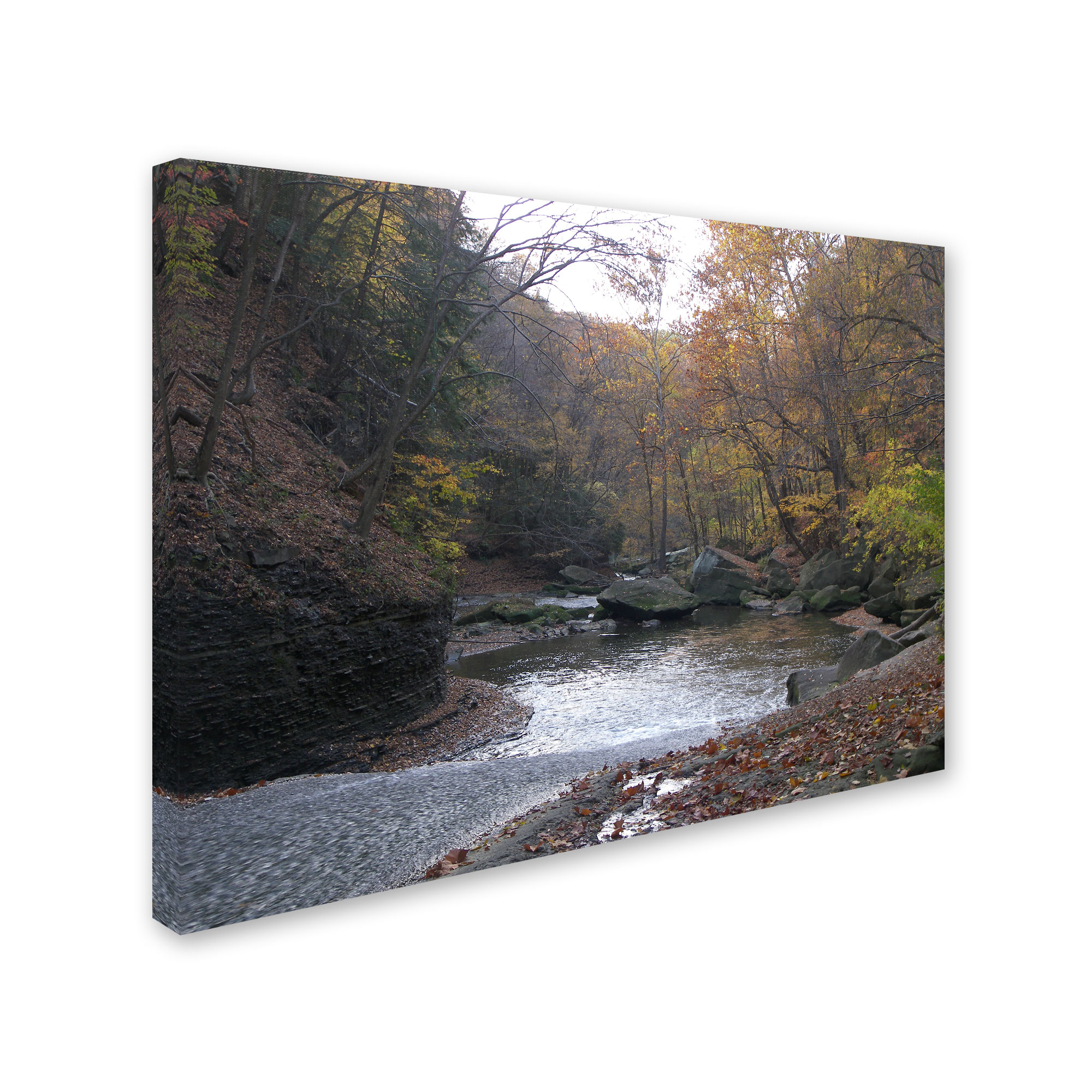 Trademark Fine Art "Prosaic" Canvas Art by Monica Fleet